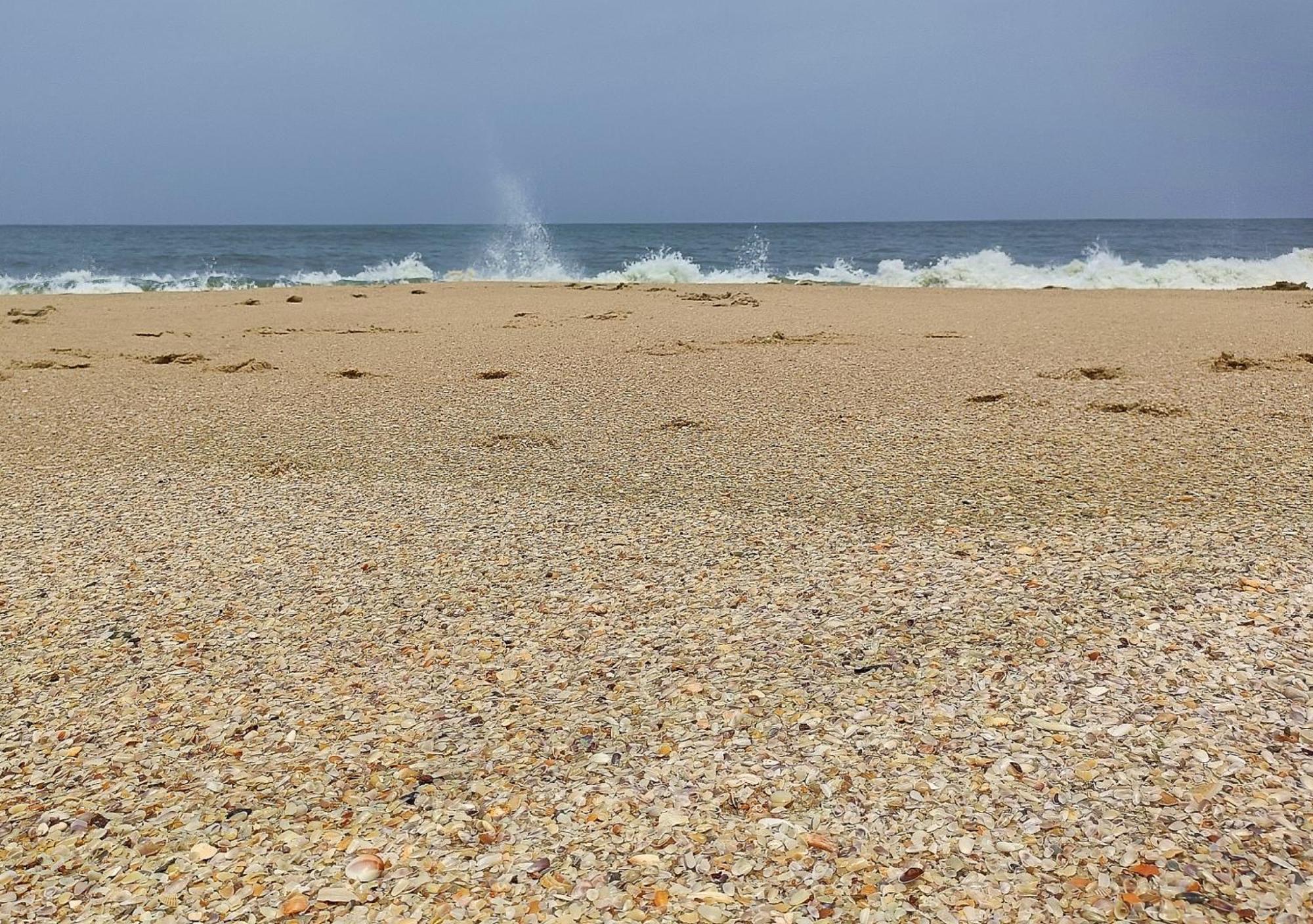 Marari Beach Cleetus Homestay Mararikulam Bagian luar foto